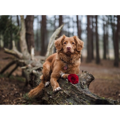 Test Product 003 asdasdadasd