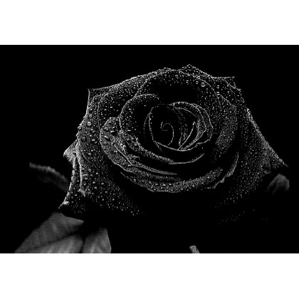 Test Product Advvvvvvv1222